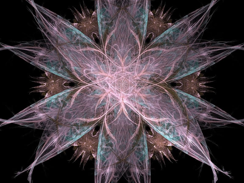 Parallel Universes
